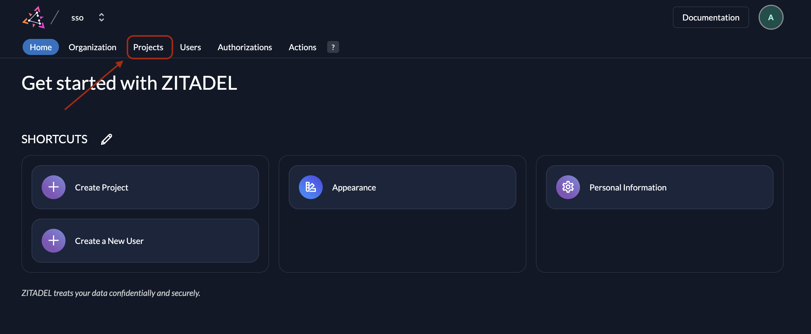 Projects Tab